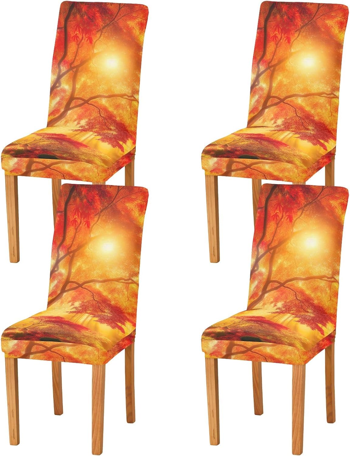 ODAWA Radiant Autumn Sunlight Trees Chair Covers Set of 2, Dining Room Chair Slipcovers for Dresses Women Accessories