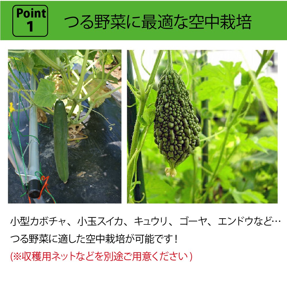 Amazon | DAIM つる棚セット 空中栽培 きゅうり ゴーヤ 支柱 高さ190