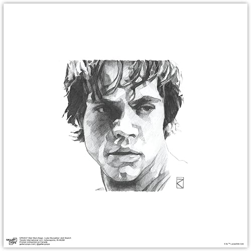 Trends International Gallery Pops Star Wars Saga - Luke Skywalker Jedi Sketch Arte de pared, versión sin marco, 12 x 12 pulgadas