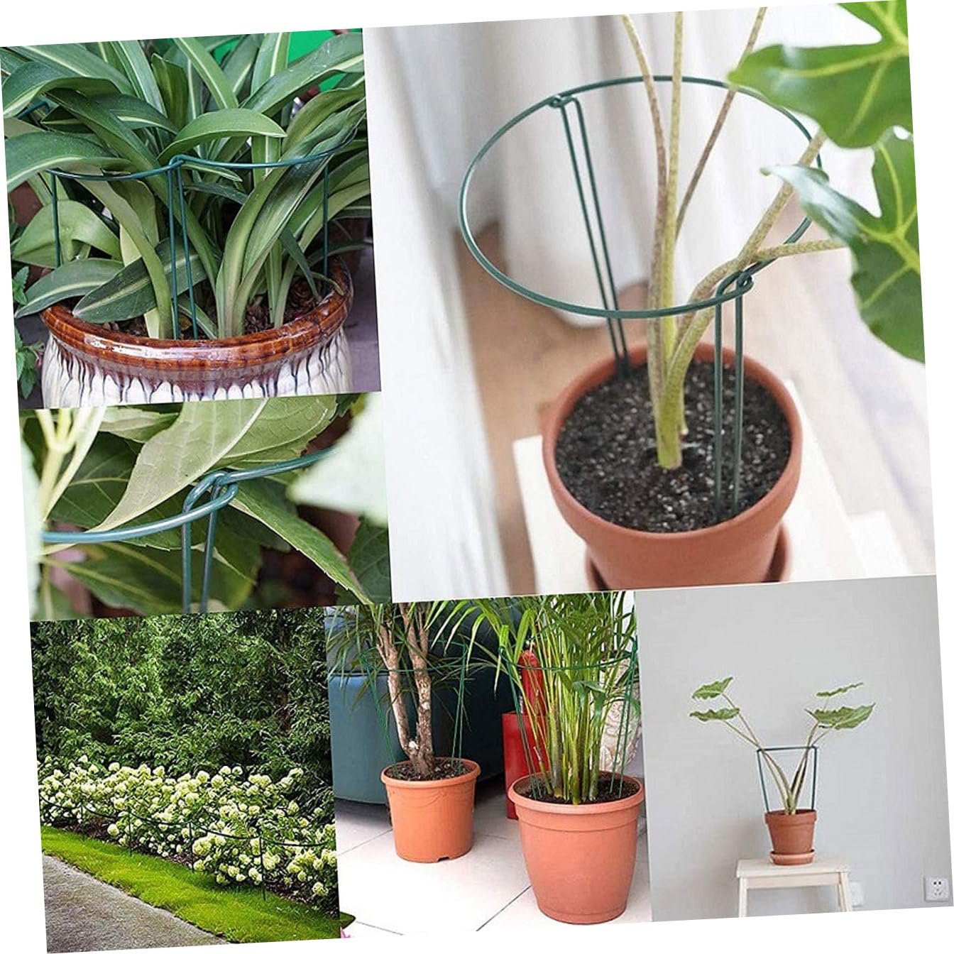 6 Tuteurs Verts en Fer pour Plantes en Pot, Support Pratique pour Fleurs et Feuilles, Évite L’enchevêtrement, Jardin