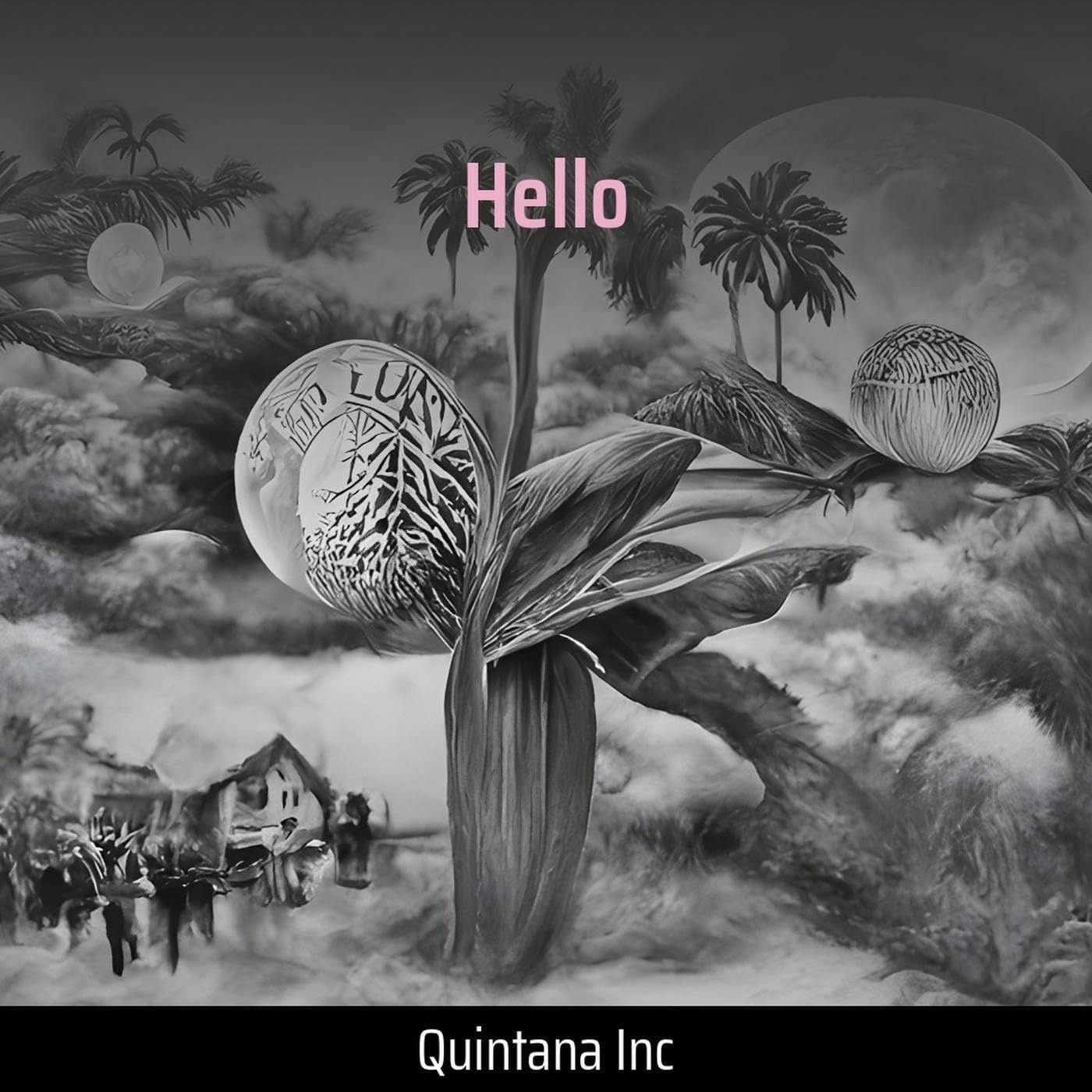 Quintana Inc