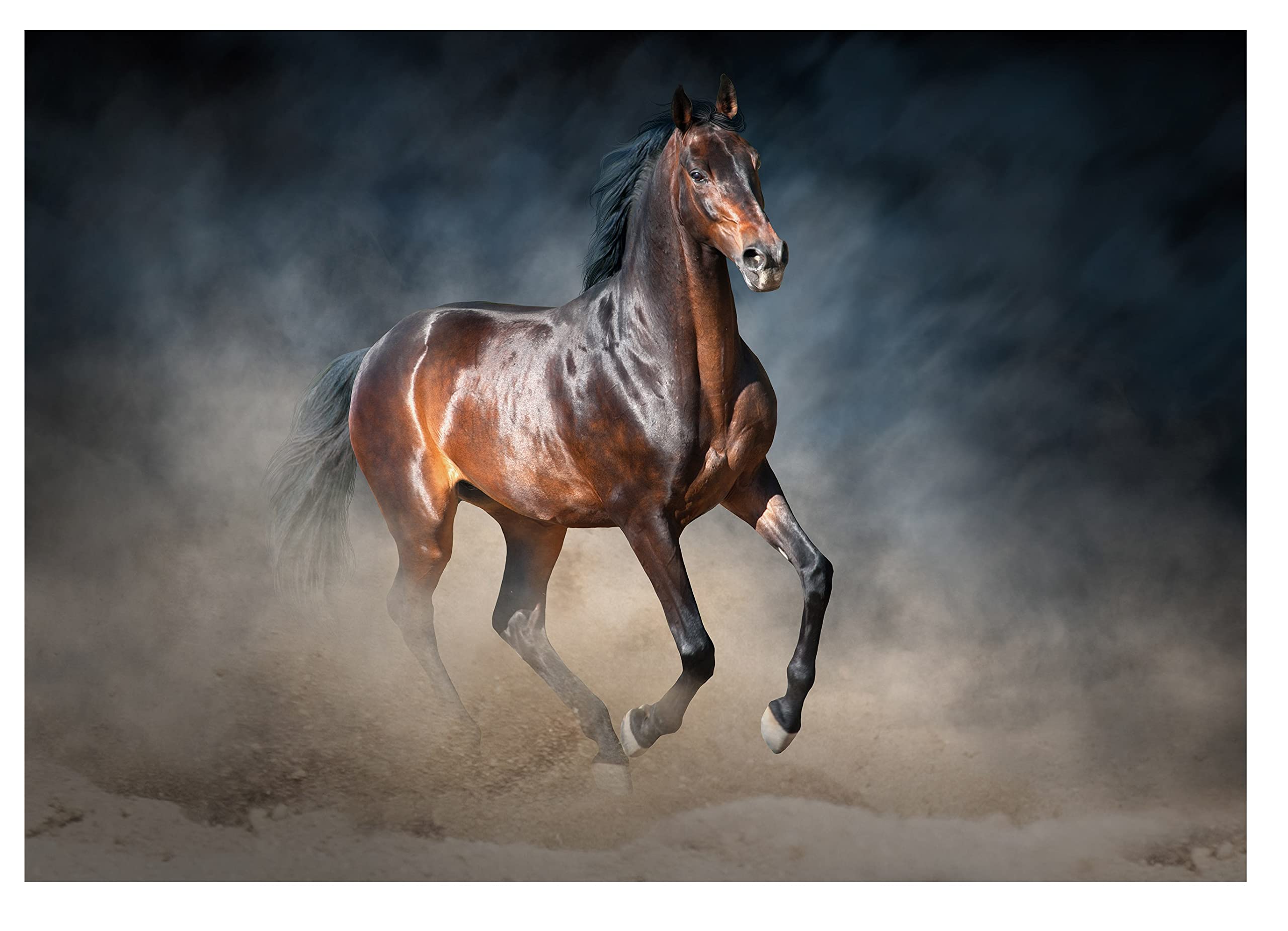 High Definition Wallpapers Horse Red Spotted Horse With Long Mane.
