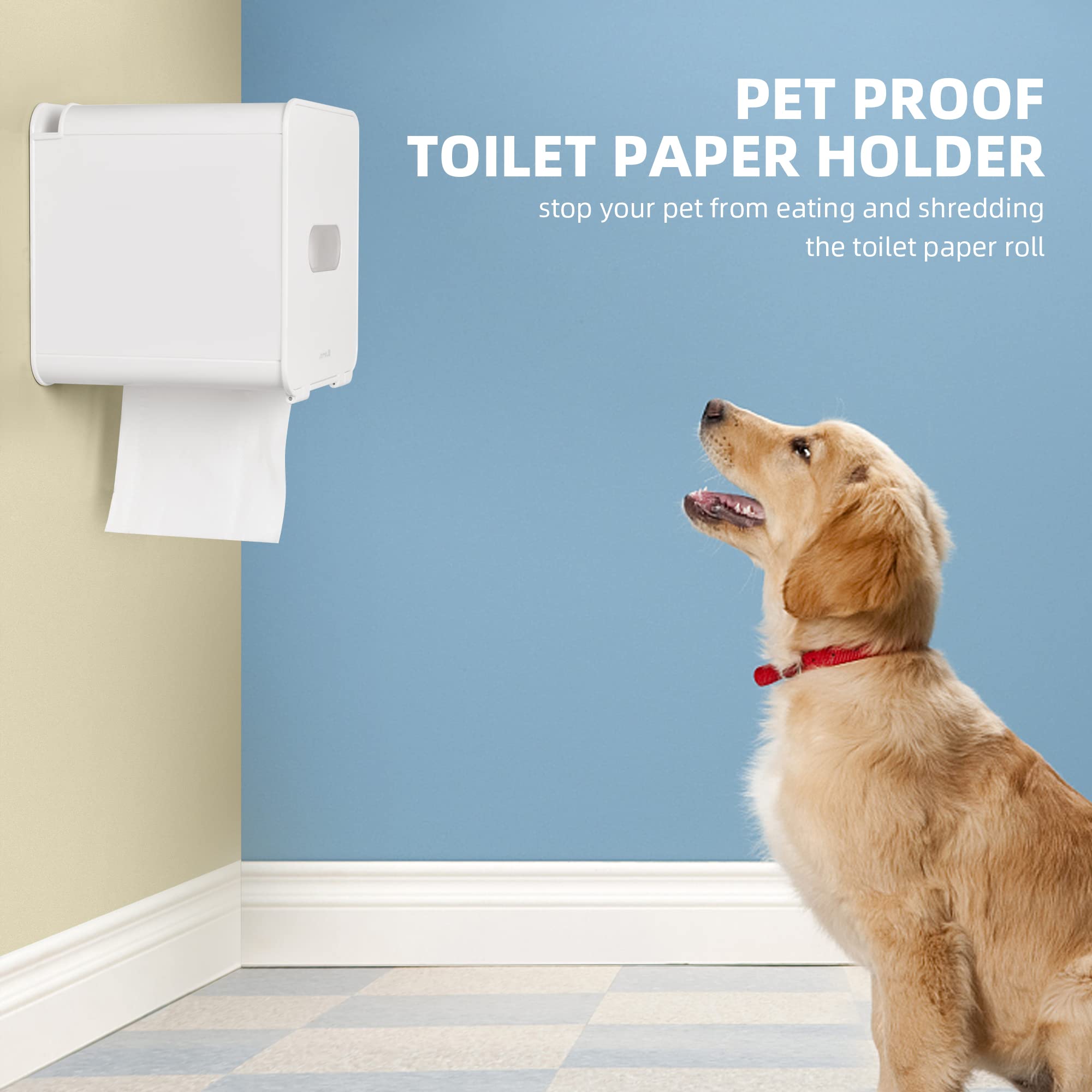 Why Does My Dog Eat Toilet Paper