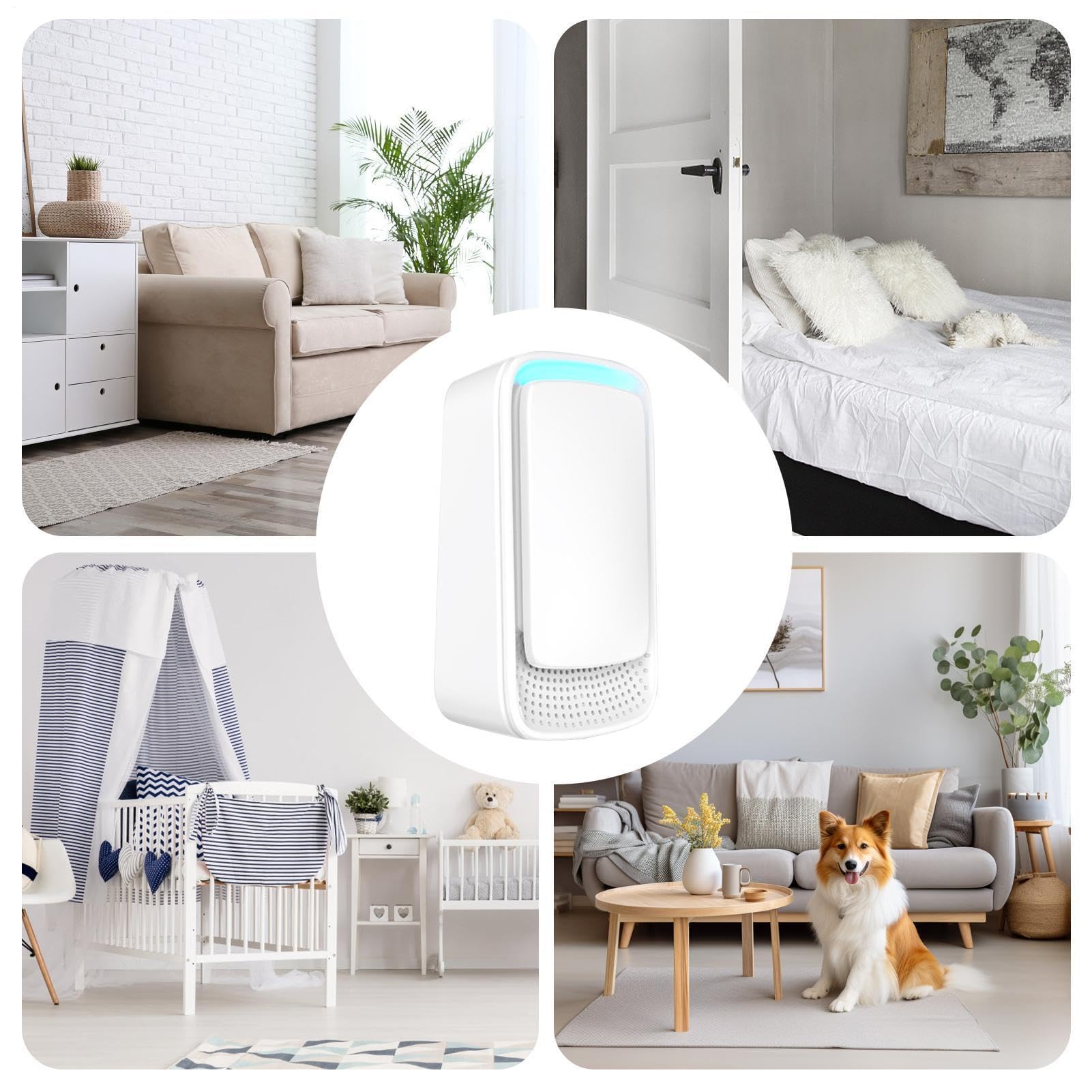 Purificatori d'Aria per Camera da Silenzioso Ionizzatore Eliminatore Odori | Purificatore d'Aria Portatile a Ioni Negativi Rimuove Polvere Inquinanti Odori Salotto Cucina Bambini Animali