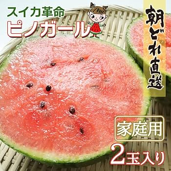２０２５年新品種ゴールデンジャック4Lサイズ　２玉入り　優品　高級品種　青森県産 2025年新品種ゴールデンジャック4Lサイズ 2玉入り 秀品
