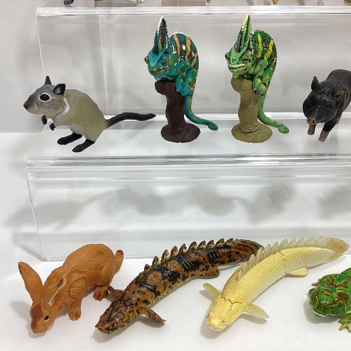 Amazon.co.jp: タカラ チョコQ アニマテイルズ ペット動物 シリーズ5