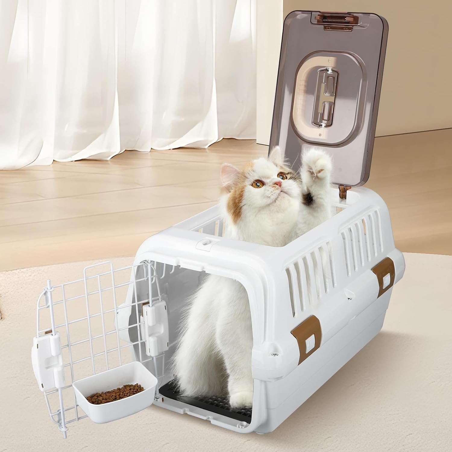 https://m.media-amazon.com/images/I/71SexCv-YBL._AC_SL1500_.jpg