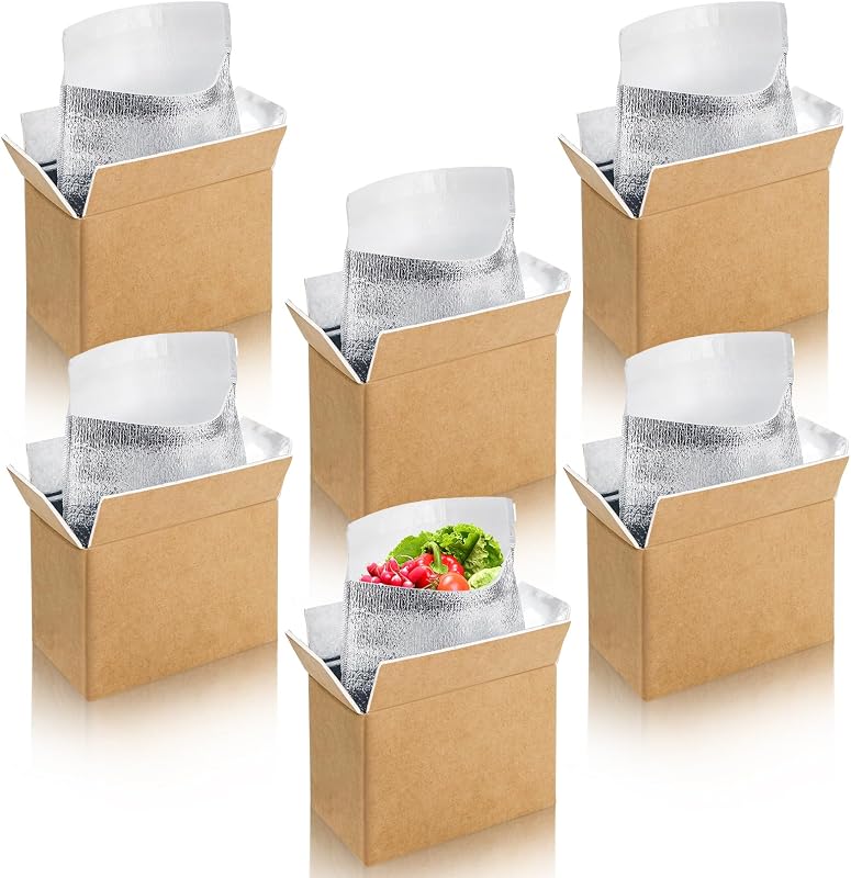 6 Pack Small Insulated Shipping Boxes with Aluminum Foil Liner, Insulated Carton for Frozen and Hot Food, Reusable Foam Cooler Mailing Box for Travel Mailing Packing Shipping, 8.3" x 4.4" x 6"