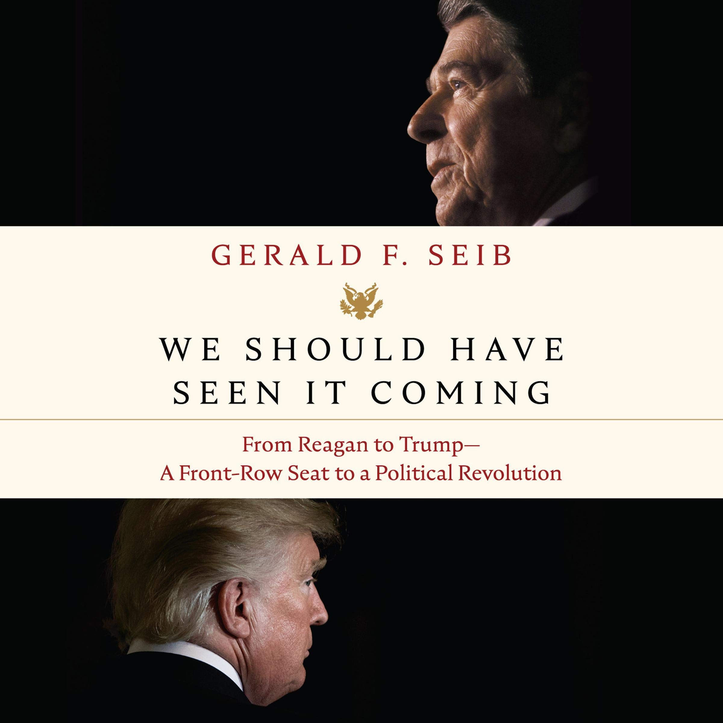 Cover art for We Should Have Seen It Coming