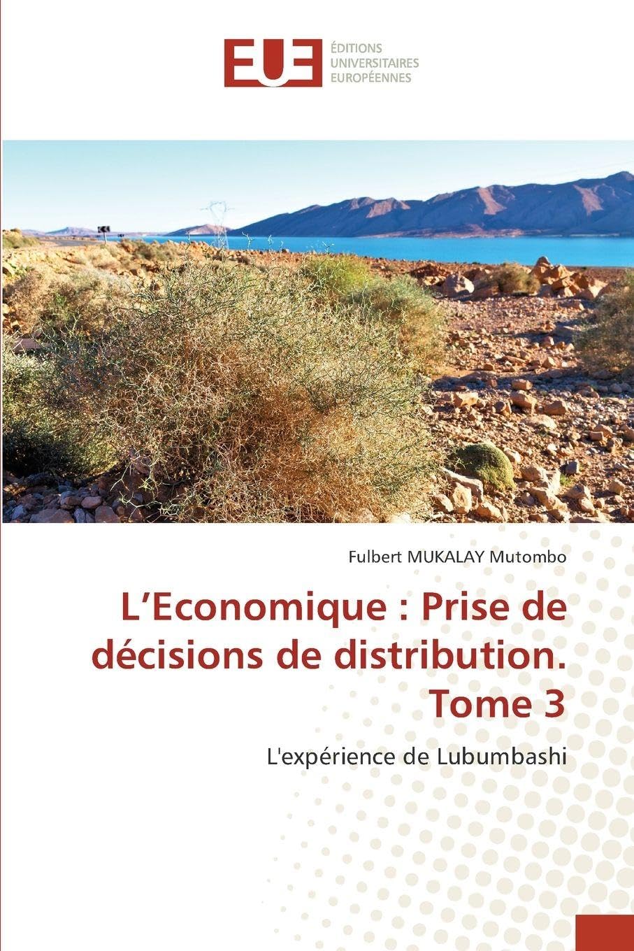 L'Economique: Prise de décisions de distribution. Tome 3