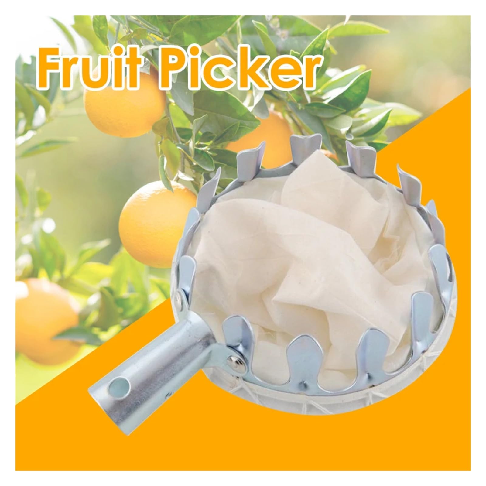 Cueilleur de Fruits Cueilleur de Fruits Ergonomique