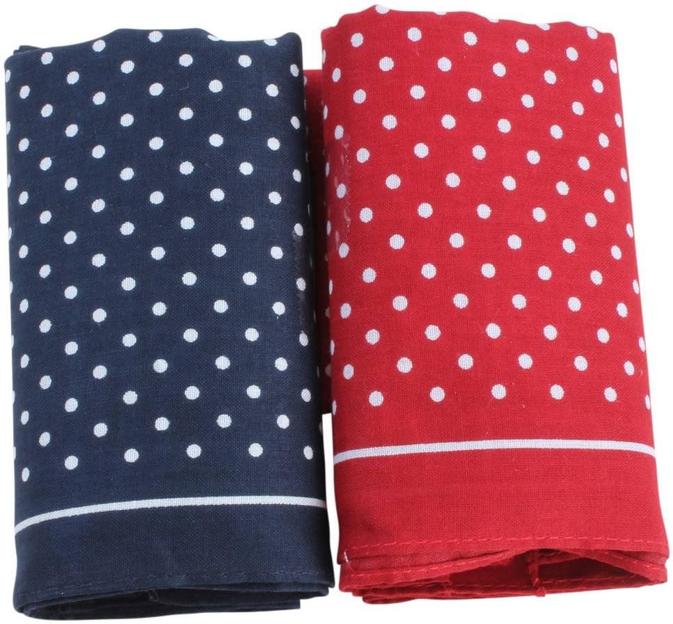 Mens Classic Polka Dot Handkerchief Set - Blue/Red
