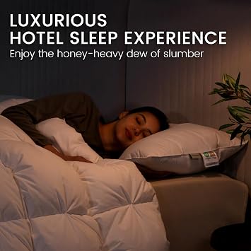Alanzimo Goose Feathers Down Pillows Standard/Queen Size Set of 2, Luxury Soft Feather Down Pillow for Sleeping, 100% Cotton Cover Hotel Collection Bed Pillows for Back, Stomach or Side Sleepers20x28