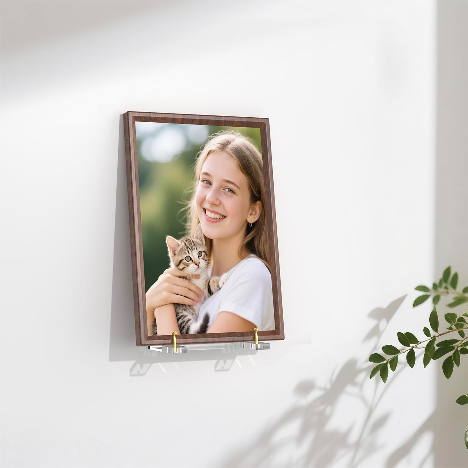 Wall-Mount Acrylic Display Shelf for Plates, Acrylic Plate Stand with Adjustable Display Angle, Ideal Hanger for 6-16 Inch Plates, Picture Frames, Bowl, Certificate, Artwork, Gold Pegs - 2 Pack