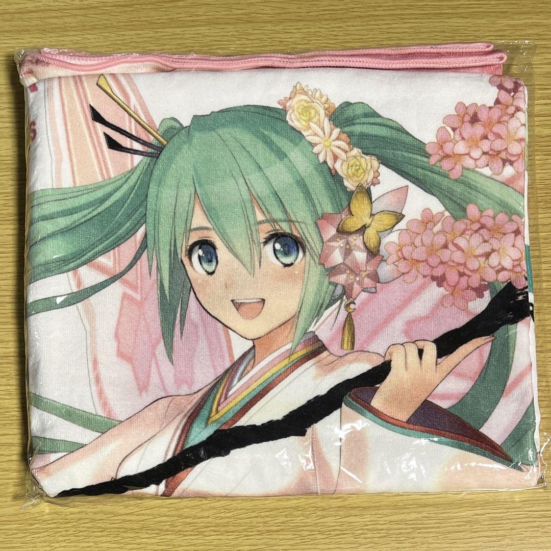 初音ミク レーシングミク 2017 クリアファイル Spa 応援.ver GSR グッスマ