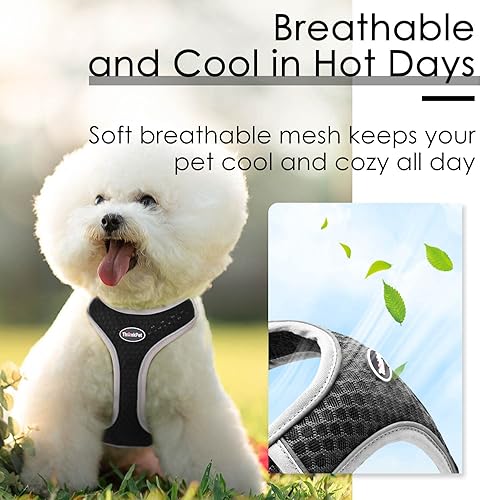 Miniatura 3 de ThinkPet Arnés de ventilación reflectante transpirable suave sin tirones para cachorros, chaleco de ventilación con correa para cachorros, perros y