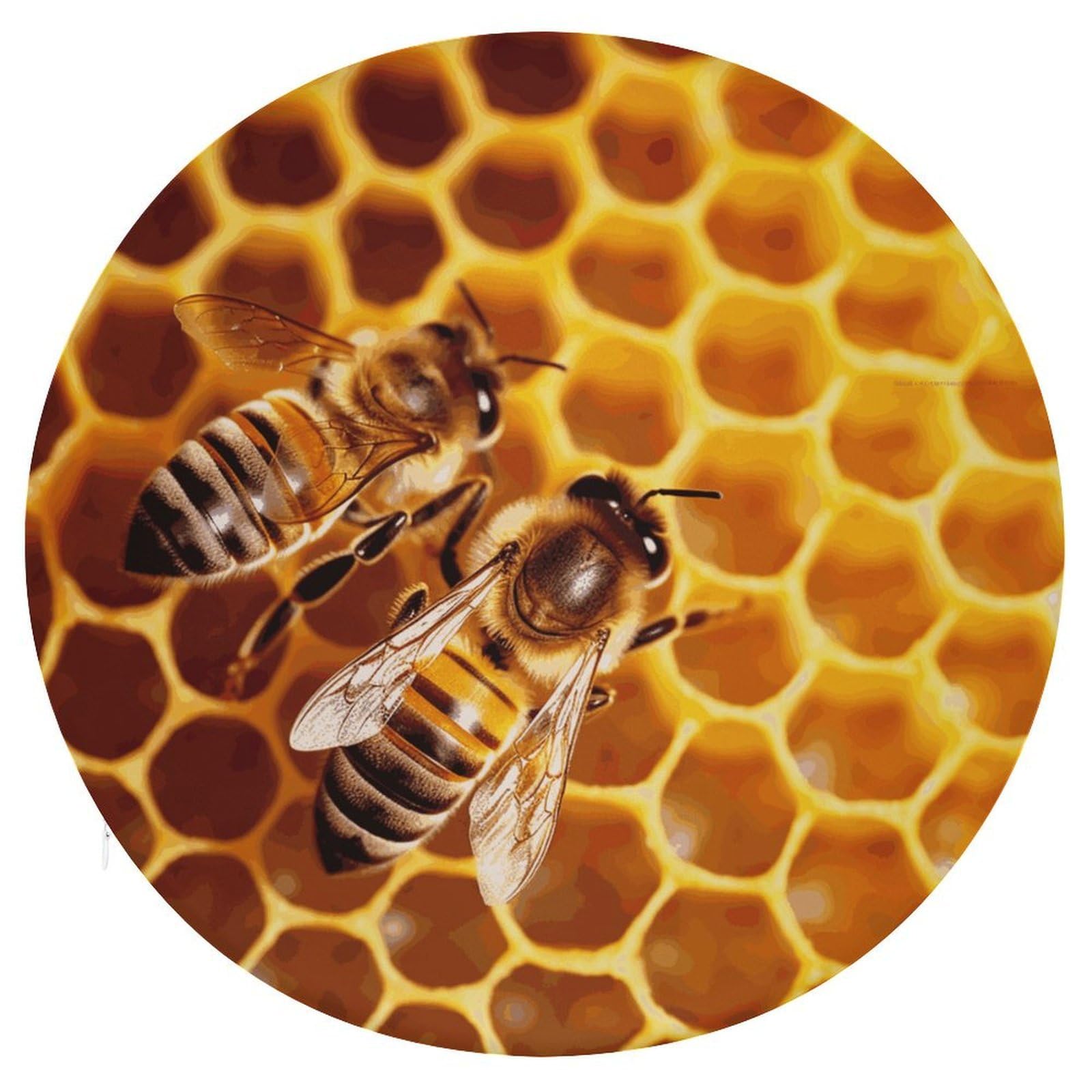 Wsoihfec Style Bee On Honeycomb Seat Cushion Round Chair Pad