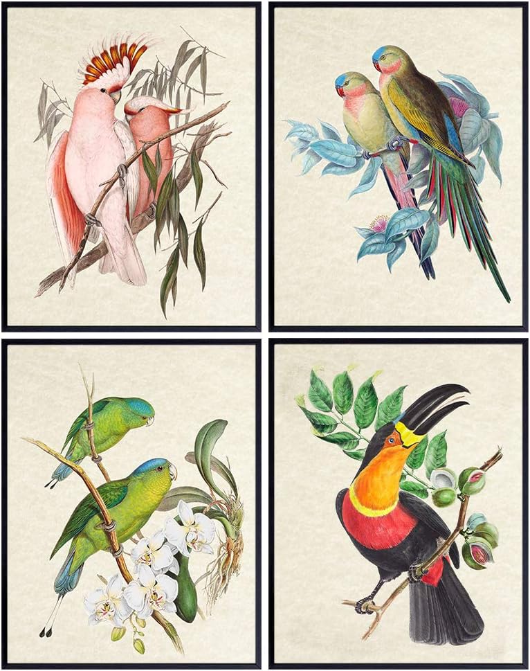 Tropical Bird Art 11x14 - Exotic Parrot, Lovebird, Toucan, Cockatoo Wall Decor - Vintage Audubon Birdwatcher Gifts - Parakeet Wall Art - Tropical Wall Decorations - Bird Wall Decor - Art Print