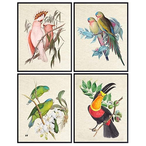 Miniatura 1 de Bird Wall Art - Bird Wall Decor - Tropical Wall Decor - Tropical Birds - Parrot Decorations - Parakeet, Cockatoo, Lovebird, Toucan Wall Art -
