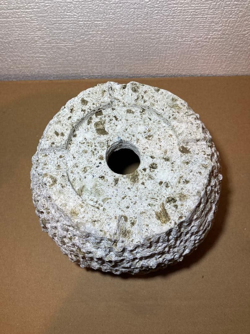 Amazon.co.jp: 大谷石 中品 アガベ 植木鉢 盆栽鉢 天然石 : DIY・工具