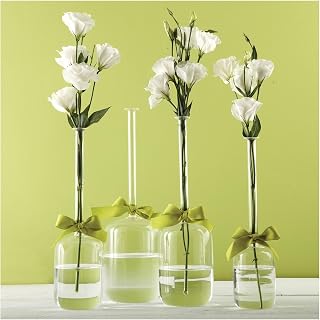Two's Company Sleek & Chic Jug Vases Set of 4