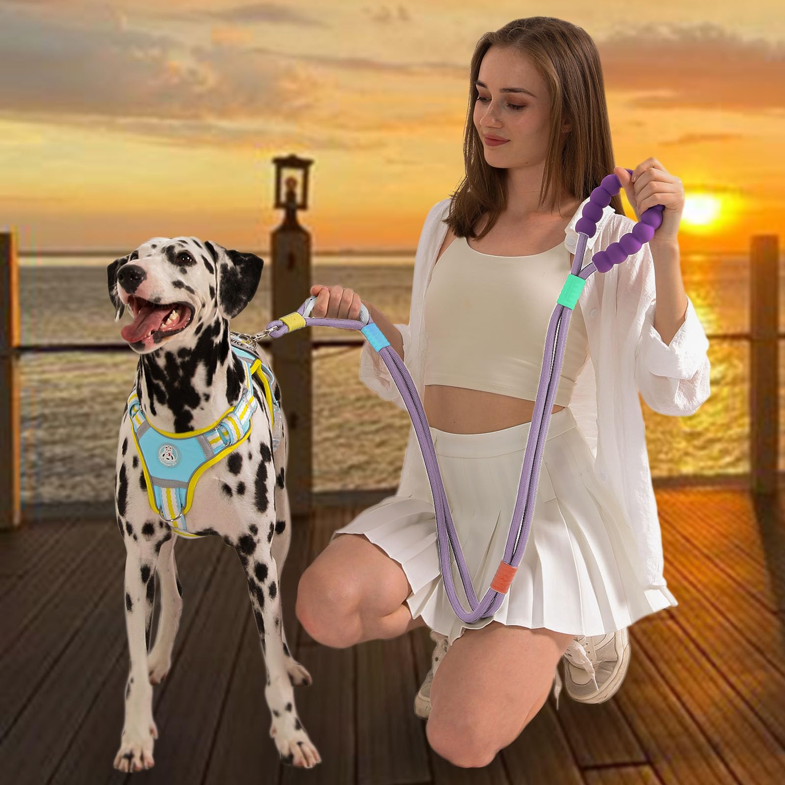 JSXD Correa para perro, correa de entrenamiento resistente de 5 pies, doble asa, cómoda, acolchada, manos libres, correa cruzada ajustable para perros pequeños, medianos y grandes (morado)