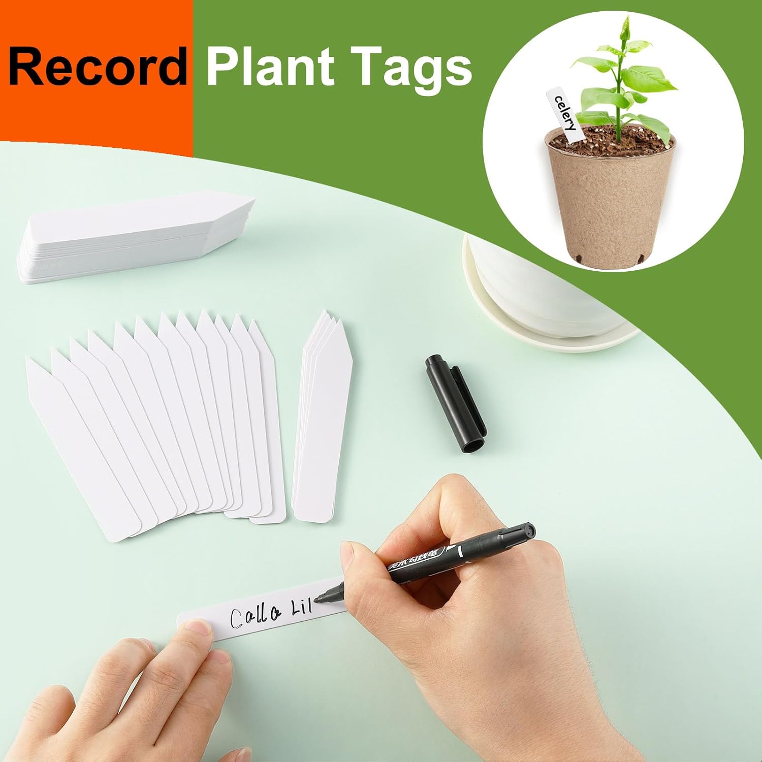 132 Pack Organic Peat Pots, 3.15 Inch Plant Starter Round Nursery Pot with Drainage Holes, Seedling Nursery Box, Seed Starting Tray, Bulk Garden Germination Paper Pulp Container with 132 Plant Labels