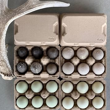 Half Dozen Jumbo Duck Egg Cartons Blank Eco-Friendly Pulp Flats - 20