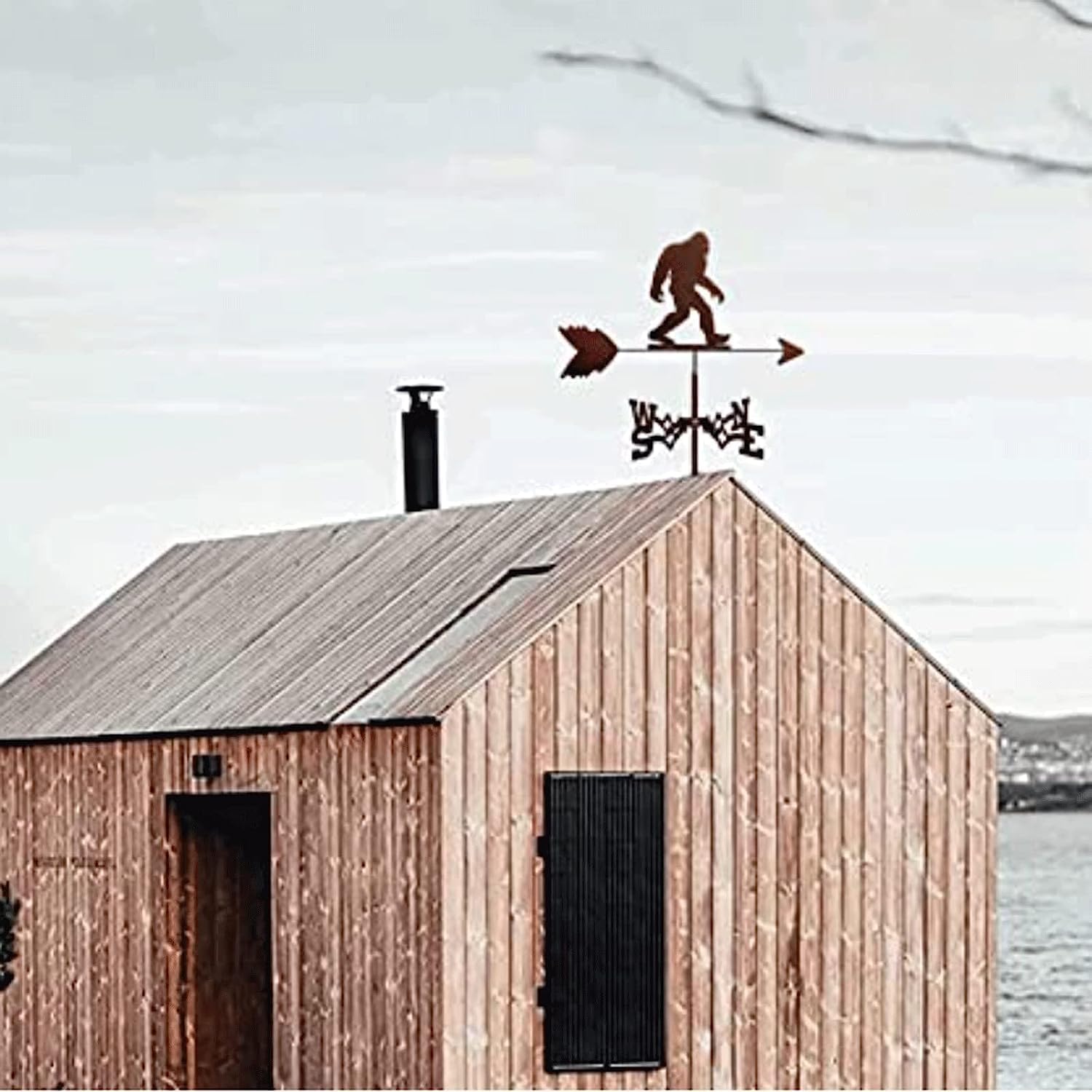 Weathervane Weather Vane Gardeners and Anyone Interested in Accurate Weather Data and Wind Readings