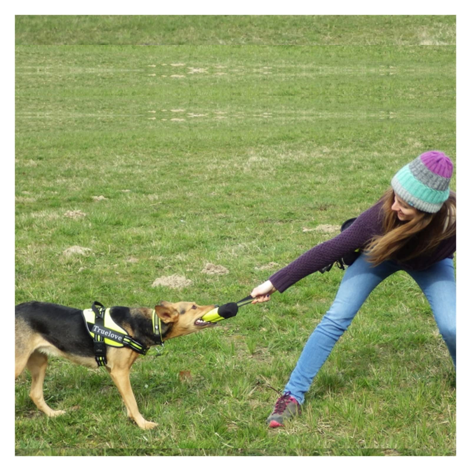 FAXIOAWA Pet Dog Training Treat Bags Snack Bag Dog Pet Feed Pocket Pouch Dogs Snack Reward Waist Bag Training Behaviour Aids