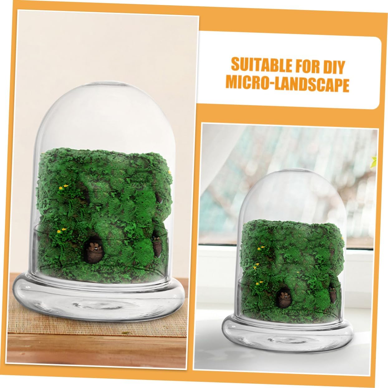 2pcs Glass Terrarium Planter with Lid Eco-Friendly Micro Landscaping Container for DIY Plants Lightweight and Durable Decorative Glass Bottles