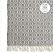 Fab Habitat Machine Washable Area Rug - Hand Woven, Stain Resistant, Pet Friendly - Premium Recycled Polyester Yarn - Geo - Bedroom, Living Room - Lancut - Grey - 4 x 6 ft