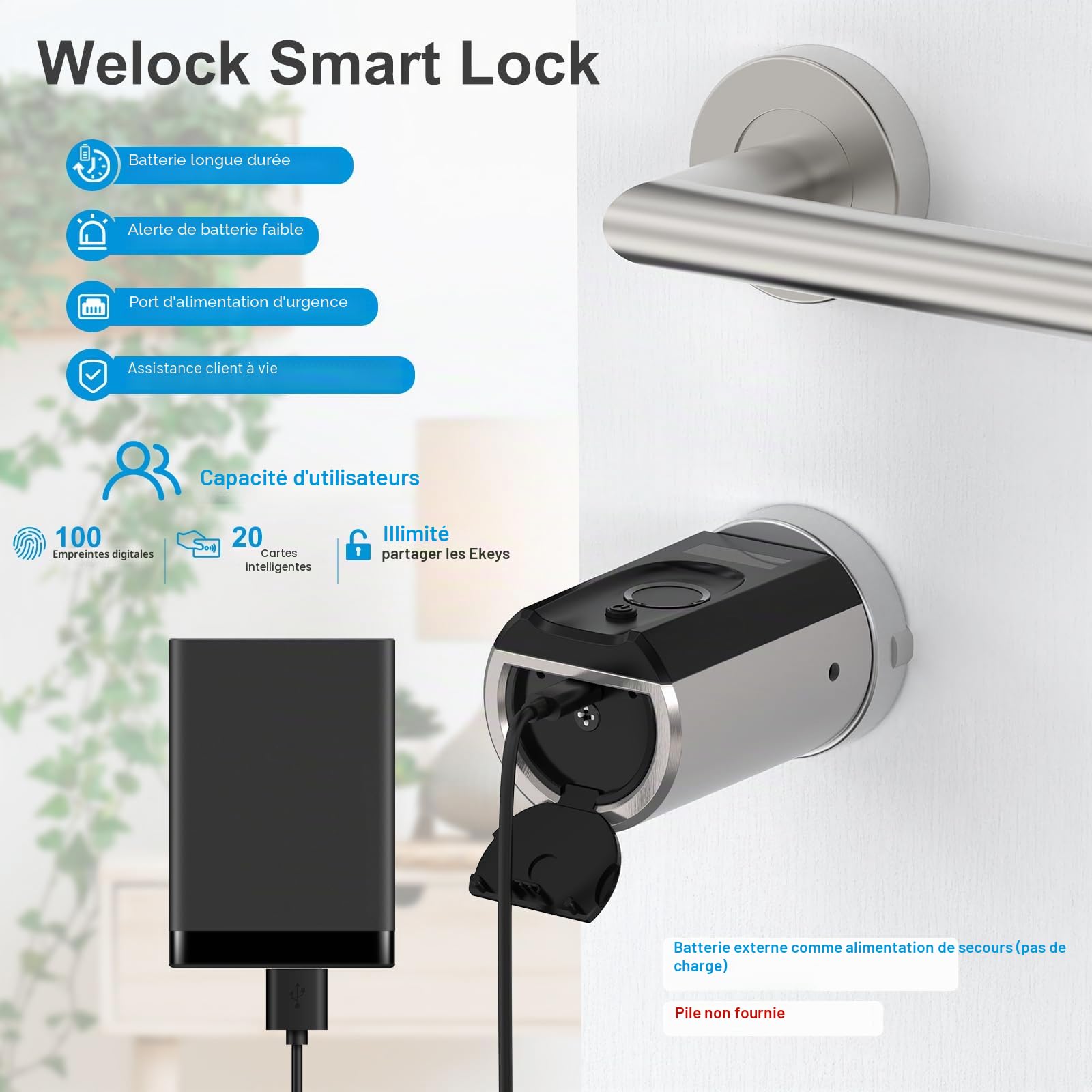 WELOCK Touch41WiFiBox Serrure Connectée,serrure biometrique avec WiFi | avec WiFiBox,serrure empreinte digitale avec RFID carte,APP, serrure connectee porte entree,Smart Lock facile à Installer