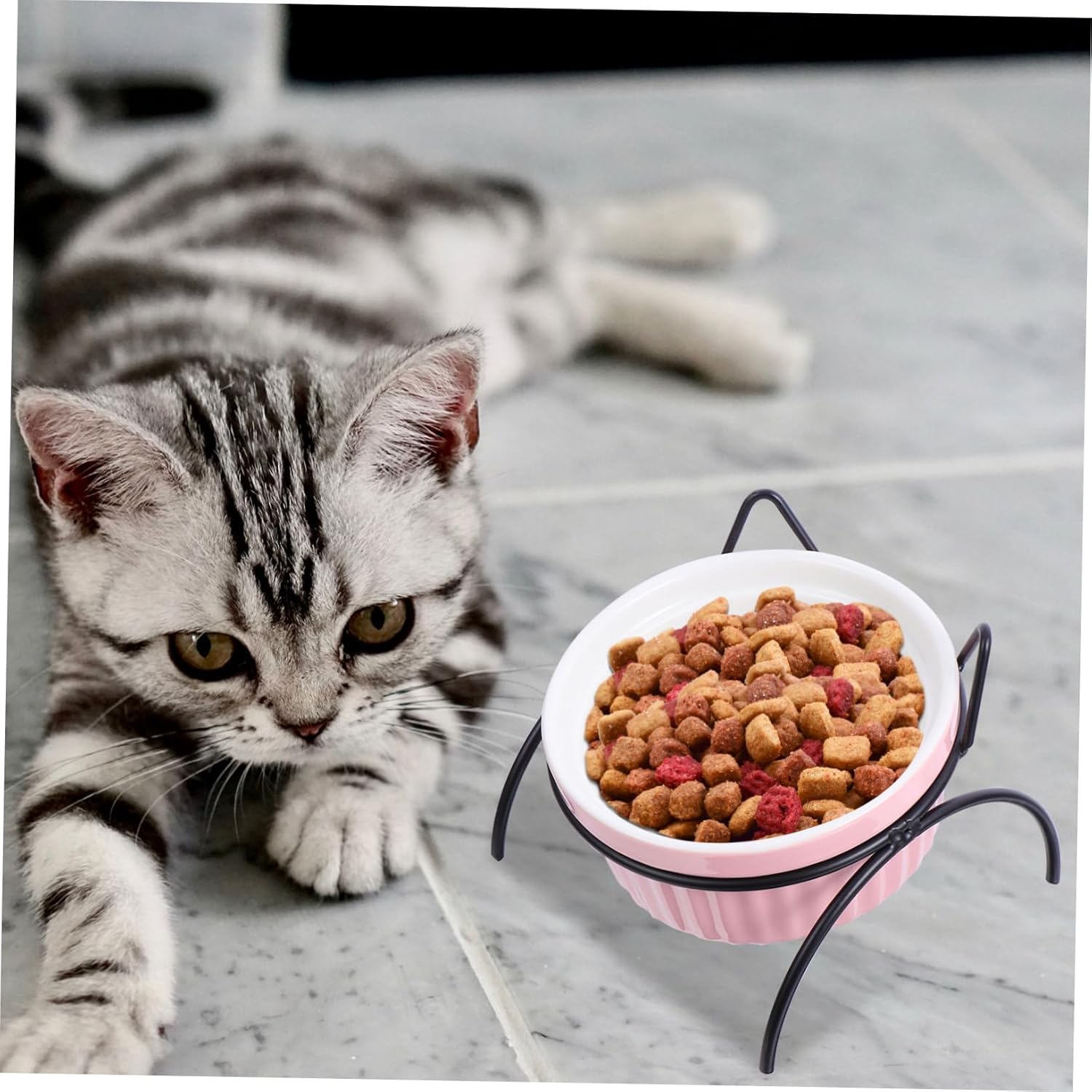 balacoo 2sets Elevated Ceramic Cat Bowl Set Pet Food Dish Iron Stand - Design for Comfortable Feeding for Indoor Cats