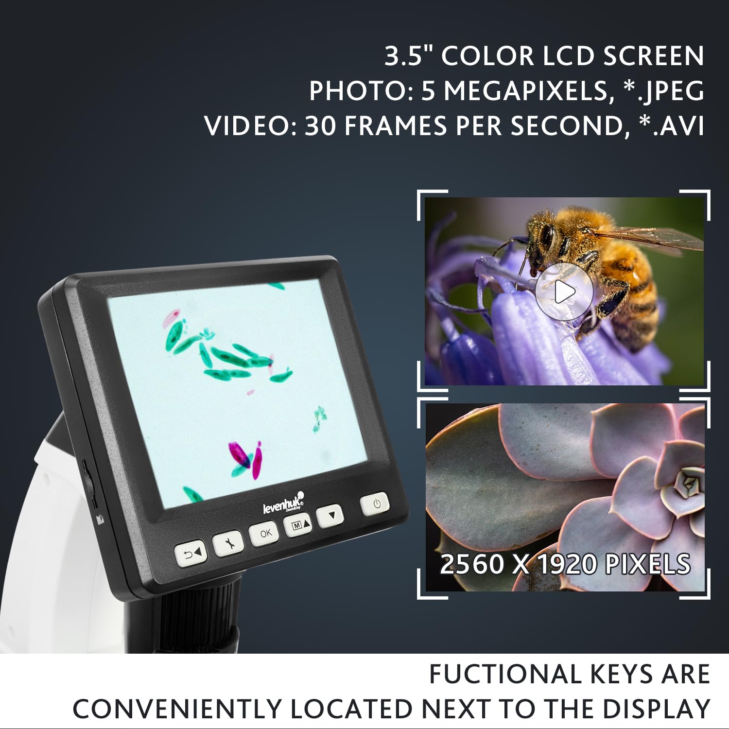 Microscopio Digital Portátil USB Levenhuk DTX 500 LCD (20–500x) con Pantalla LCD