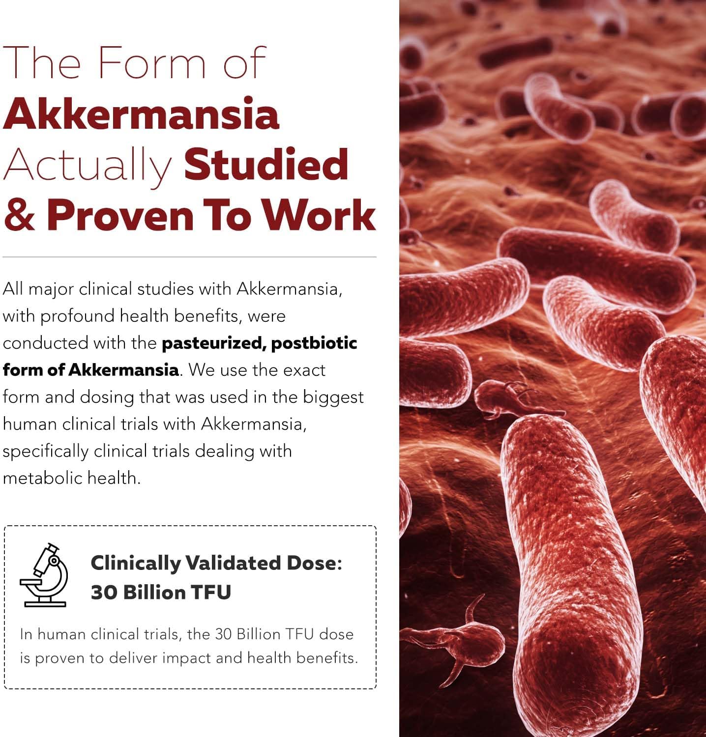 AK-Postbio: Akkermansia Probiotic 30 Billion TFU - Max Strength, Clinically Validated Dose & Patented Strain - Superior Pasteurized Form, Highest Absorption, Delivery - GLP-1 Probiotic - 30 Servings