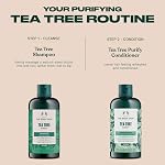 The Body Shop Tea Tree Purifying & Balancing Shampoo 400ml, Clarifying Shampoo for Oily Hair & Scalp with Community Fair Trade Tea Tree Oil, Rebalances Excess Oil Without Stripping, Vegan