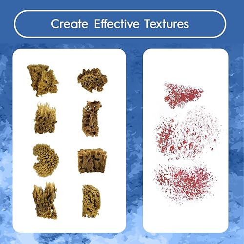 Miniatura 4 de NAROA Esponjas de mar natural para pintar, paquete de 8  Juego de herramientas de arte único sin blanquear  Adecuado para acuarela acrílica, mármol,