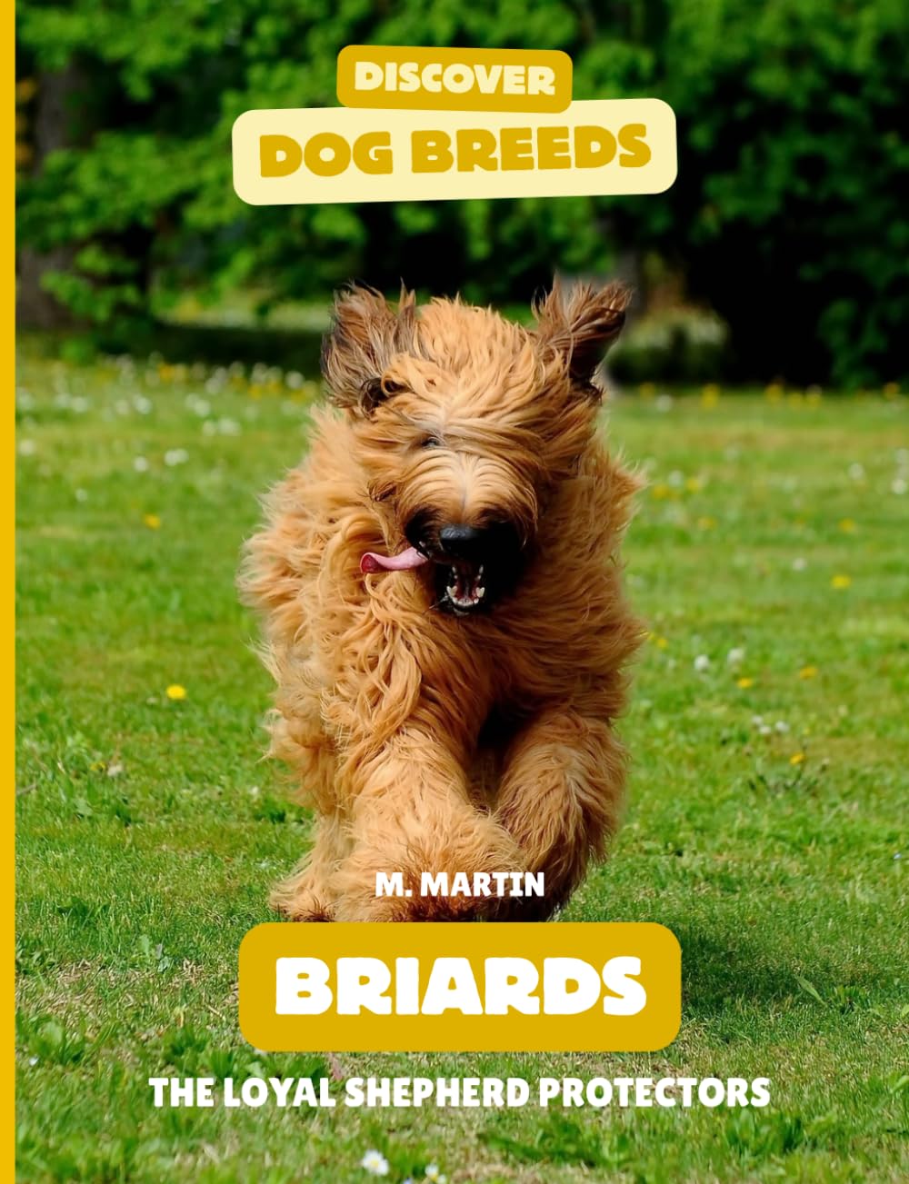 Briards: The Loyal Shepherd Protector (Discover Dog Breeds)