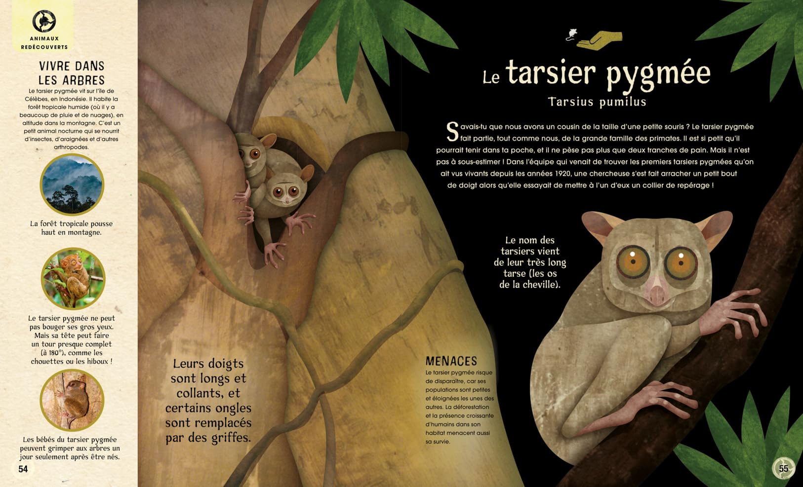 Incroyables animaux disparus ou menacés