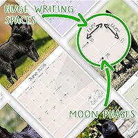 Vista 810 de Razas de Perros 2017