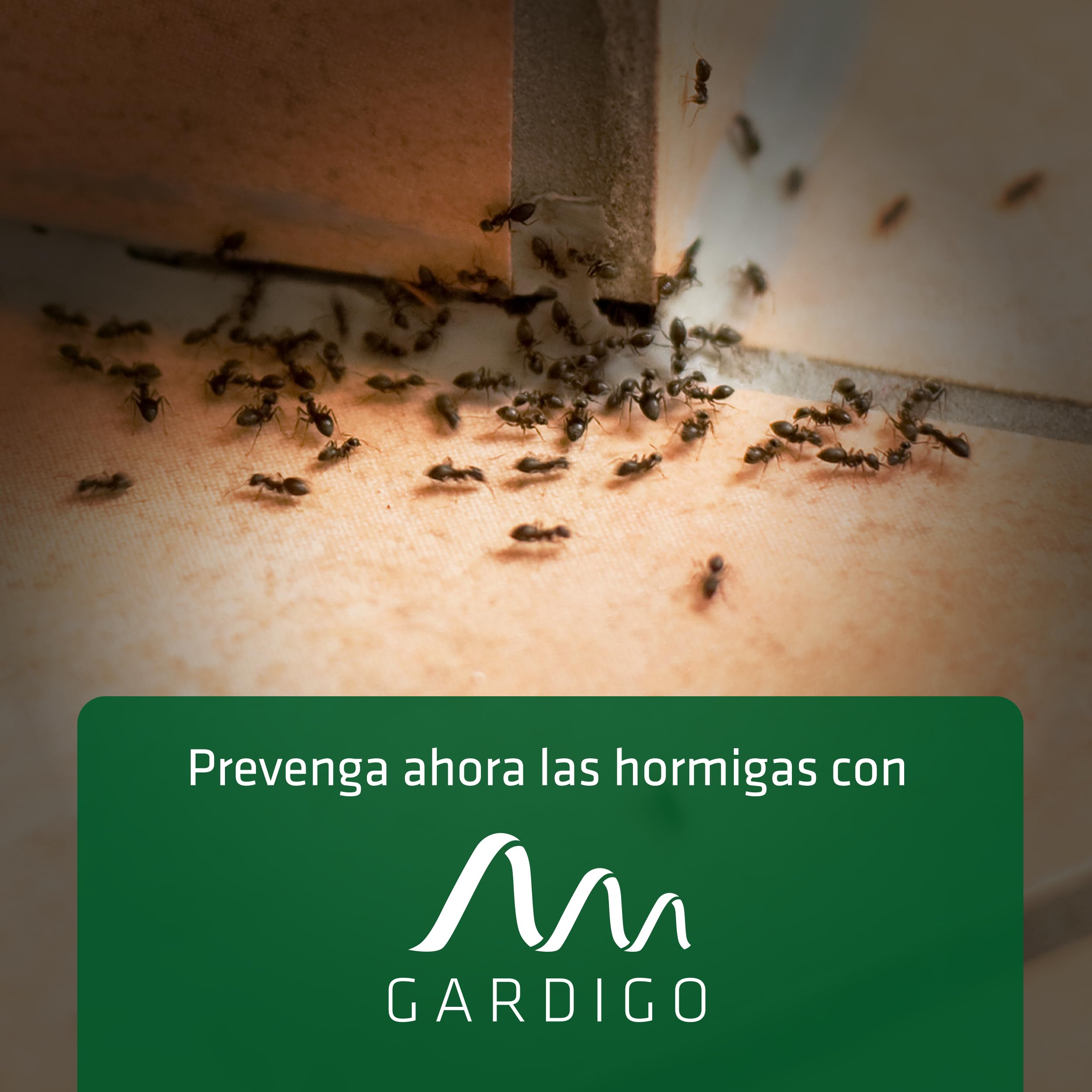 GARDIGO® Repelente Ultrasonico para Hormigas - Set de 2 | Anti Hormigas Interior de Casa | Ahuyenta Plagas en Cocina y Despensa