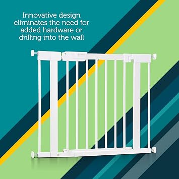Safety 1st Pressure Mounted Baby Gates for Doorways with SecureTech, Baby Gate with Door, Pet-Friendly Design, No Drilling, 29-38