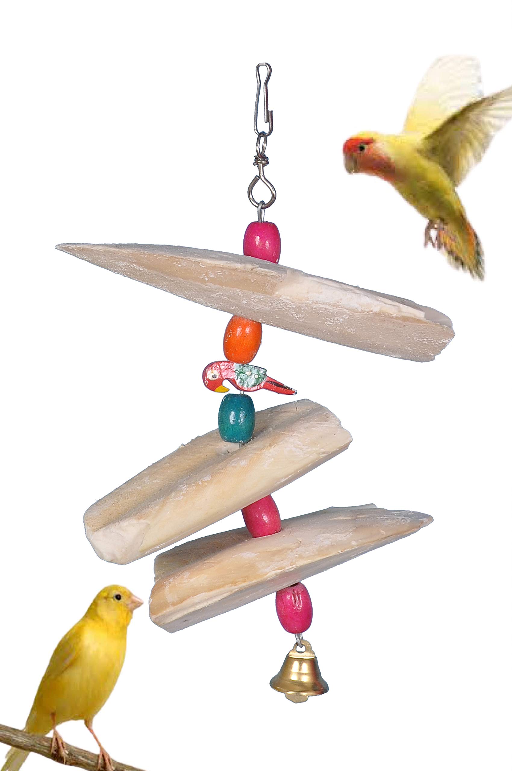 AVI CRAVE Cuttlefish Bone Toy for Birds,Calcium for Birds,Minerals,for Parrots,Budgies,Cocktail,Love Birds (Medium) (B08GYKCQ97) Amazon Price History, Amazon Price Tracker