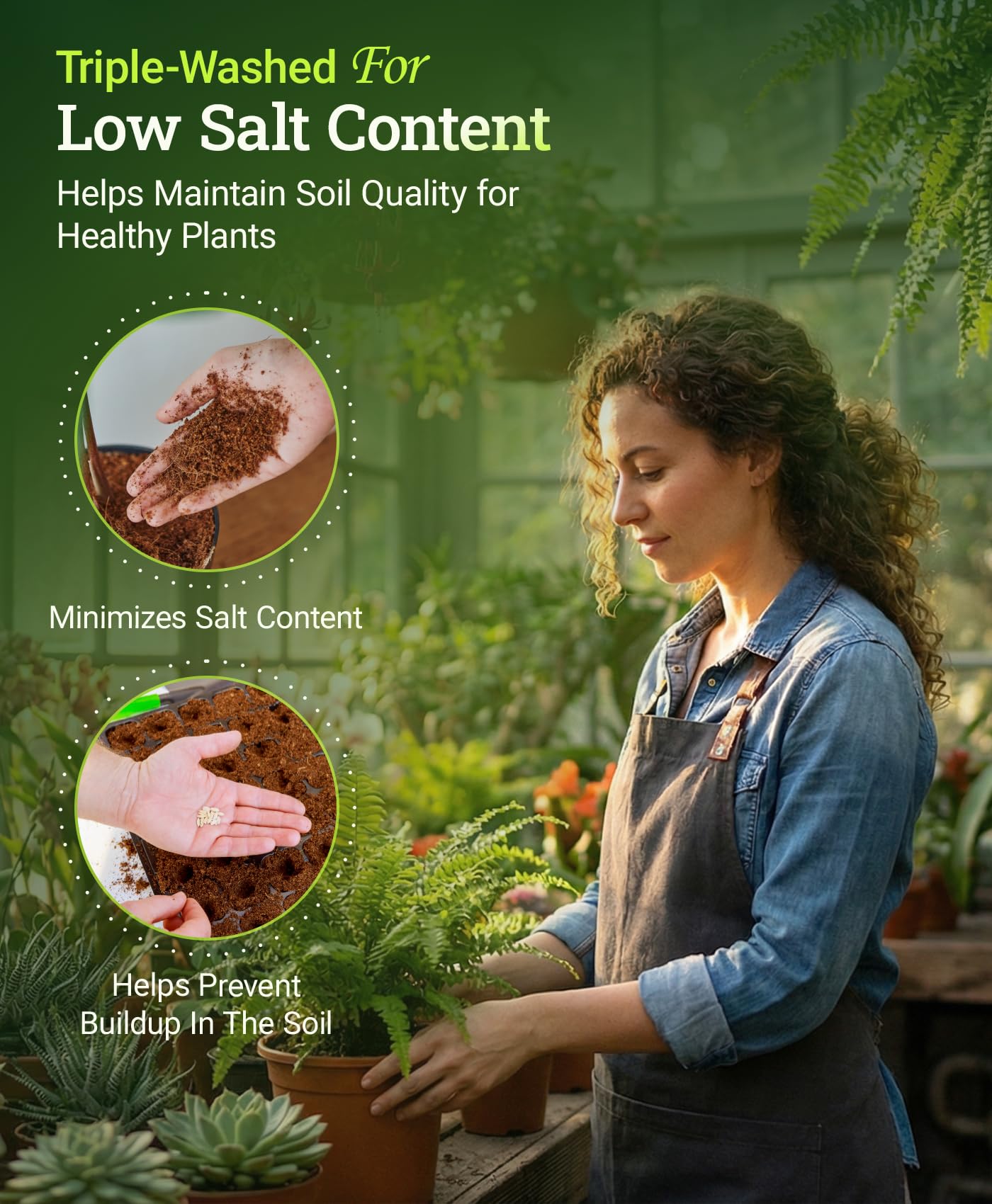 Amazon.com: FoxFarm BushDoctor Coco Loco Soil Potting Mix, Triple