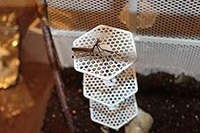 Review Image by Anthony Schilling Anthony Schilling