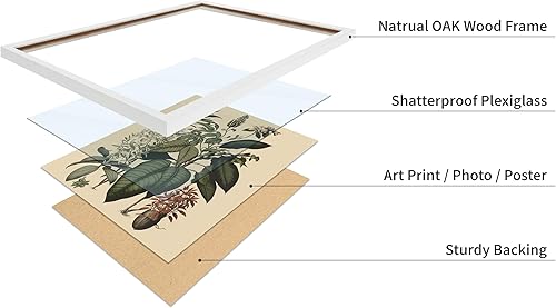 Miniatura 88 de Poster Master Póster vintage de orquídea, estampado de flores retro, arte de pared de plantas exóticas, arte botánico, regalo para hombres y