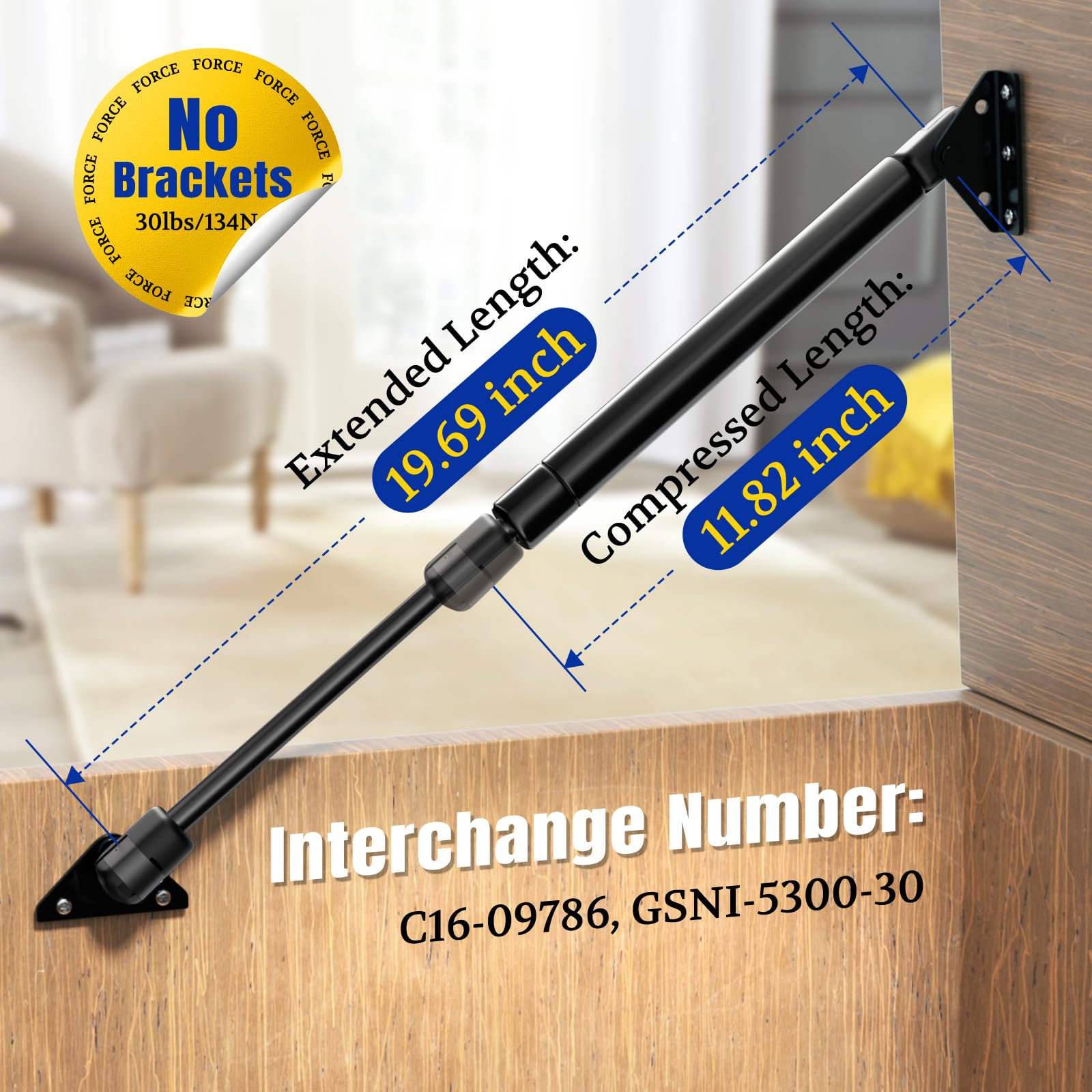 Amazon.com: C16-09786 RV Door Gas Struts Replacement - 20 inch