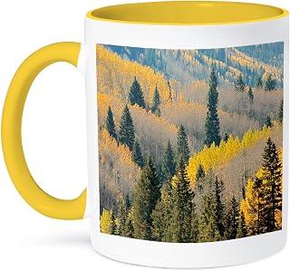 3dRose USA, Colorado, White River National Forest, aspen. 15oz Two-Tone Yellow Mug