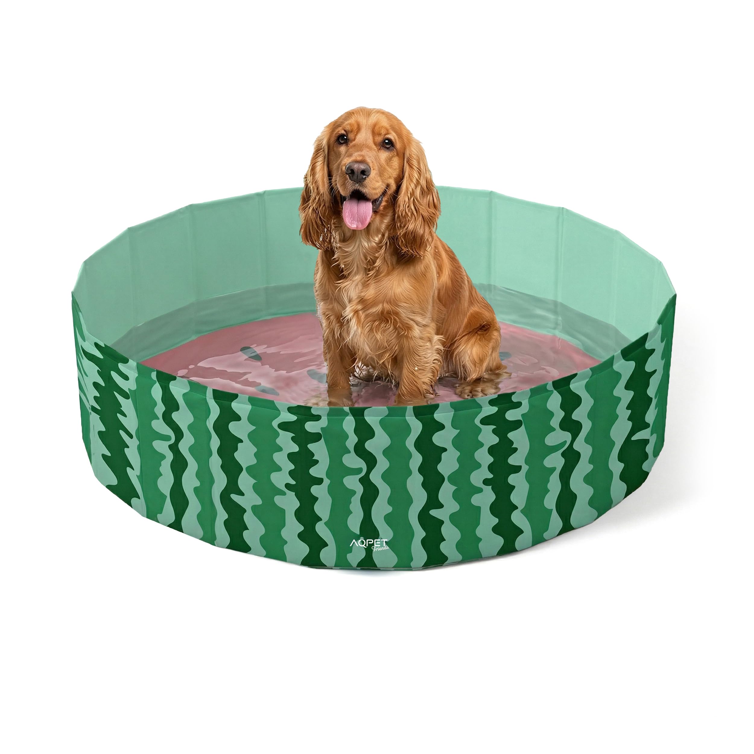 AQPET AqpetFriends Schwimmbad aus Kunststoff für Hunde, Haustiere, faltbar, für den Garten 160 x 30 cm (ØxH)